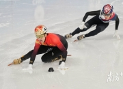 直击现场！半决赛中韩国队如何完成险胜对手？的简单介绍